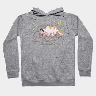 New Appa Avatar Hoodie